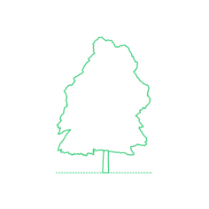 Plants Deciduous Trees Sassafras Tree Editable Svg Line Art, Free Vectors File